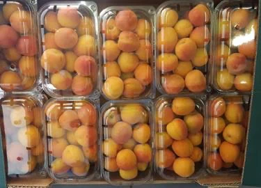 Italian Apricots